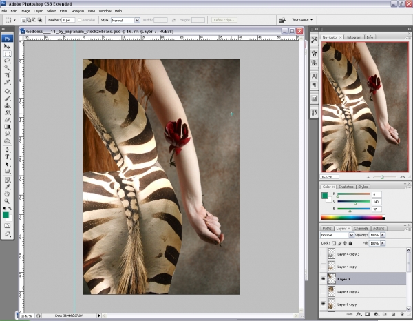 Creation of Stripped or striped?: Step 4